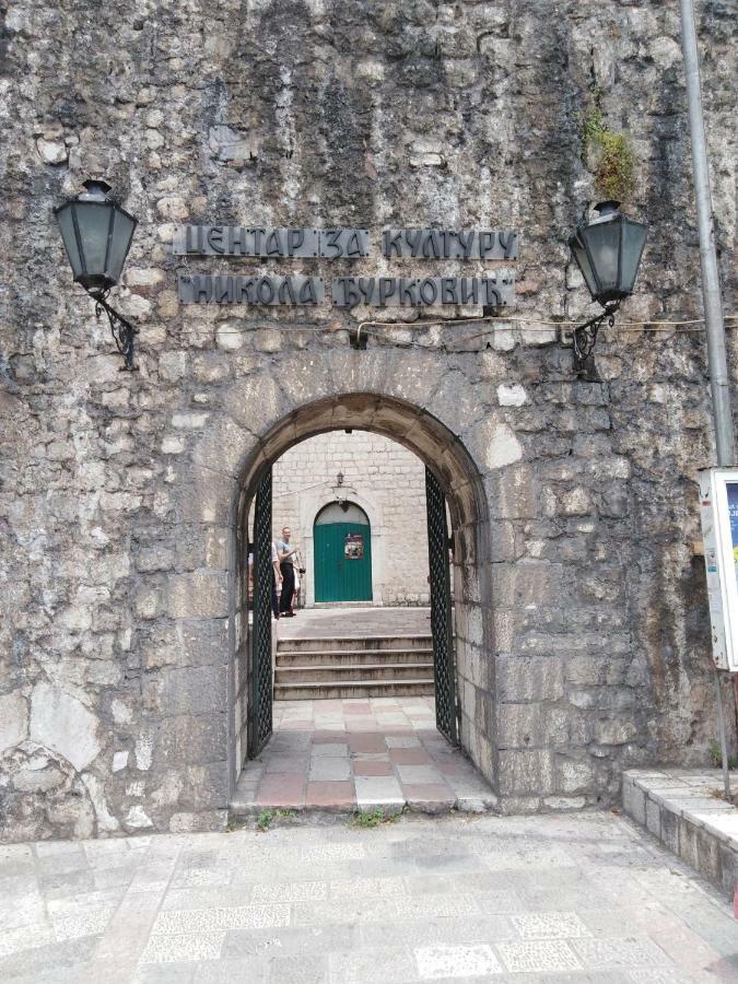 New Renovated Old Town Martiva Apartment Kotor Bagian luar foto